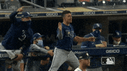 Excited Lets Go GIF by MLB