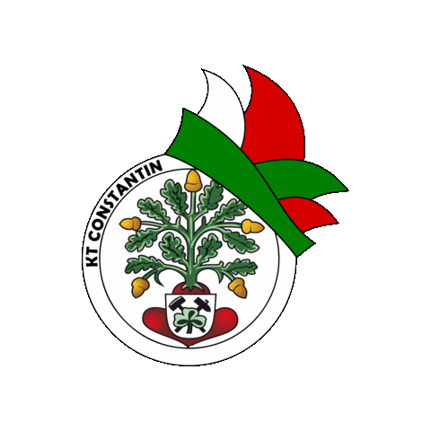 Scc Sticker by SC Constantin 1930 e.V.