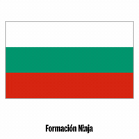 Flag Bandera GIF by Formación Ninja