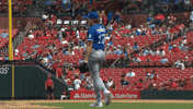 Blue Jays Baseball GIF by Toronto Blue Jays