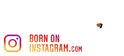 Mukulkrishna2021 Sticker by BORN ON INSTAGRAM