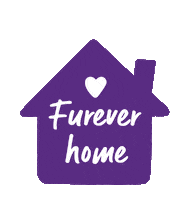 Foster Dog Pet Rescue Sticker by Kazoo Pet
