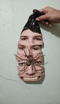 Bg Veo GIF by Aleksey Efremov