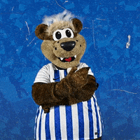 Bundesliga Berlin GIF by Hertha BSC