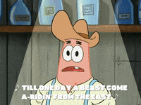 season 5 GIF by SpongeBob SquarePants