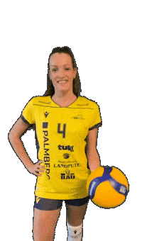 Schwerinersc Sticker by SSCPalmbergSchwerin