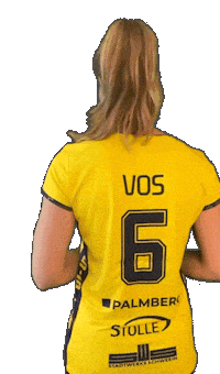 Schwerinersc Sticker by SSCPalmbergSchwerin