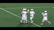 Mens Lacrosse GIF by fairfieldu