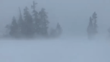 Fierce 100-Mile-Per-Hour Snowstorm Whips Through Alpine Meadows, California
