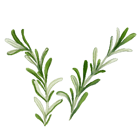 Food Nourish Sticker