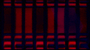 Video Art GIF by cskonopka