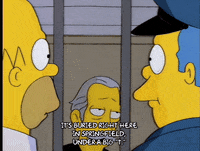homer simpson molloy GIF