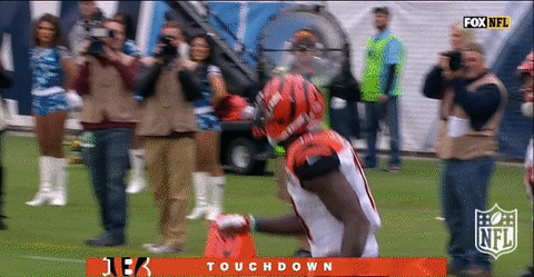 football GIF by NFL