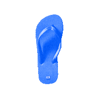 Flip Flop Miami Sticker by Raised by Latinos