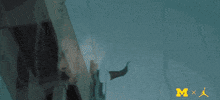 Go Blue Michigan Football GIF by Michigan Athletics
