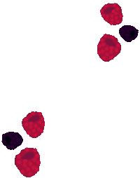 Art Design Sticker by Bombay Sapphire