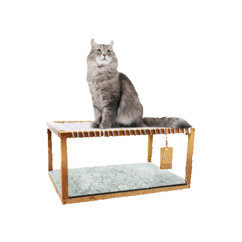 Toy Wood Sticker by Sztosy.co