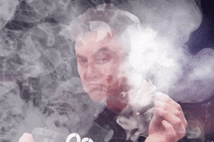 Elon Musk Twitter GIF