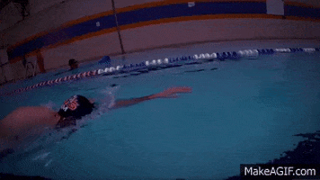 skillsnt giphyupload GIF