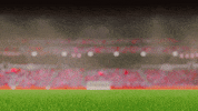 GIF by Swiss Football Association
