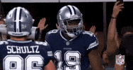 2018 Nfl Football GIF by NFL