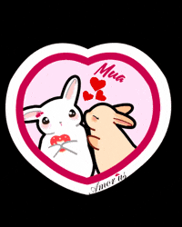 Pink Couple GIF by Amor Us