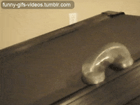 never ending love GIF