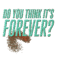 Elizabeth Taylor Ts Sticker by Taylor Swift