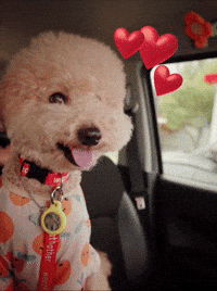 Namu GIF