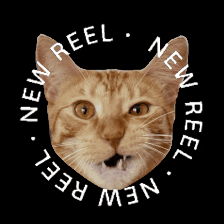 Mylesandspot GIF
