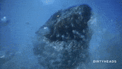 Hungry Sea Monster GIF by Better Noise Music