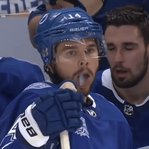 nhl lightning GIF