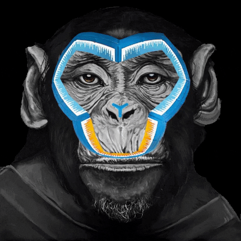 ArteCONCAS monkey calcio ronaldo cristiano ronaldo GIF