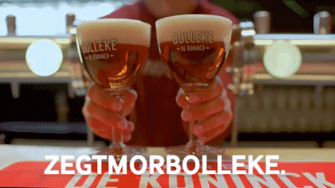 kleirantwerp giphygifmaker beer bier belgium GIF