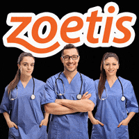 Zoetis pets zoetis simparic zoetispetsbrasil GIF