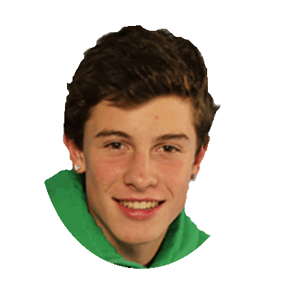 shawn mendes STICKER by imoji