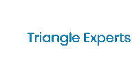 Trex1 Sticker by Triangle Experts