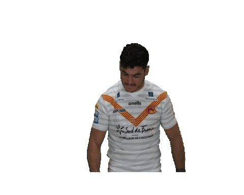 Rugby League Celebration Sticker by Dragons Catalans