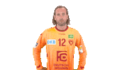 Handball-Bundesliga Stop Sticker by LIQUI MOLY HBL