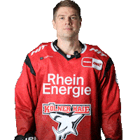 Hockey What Sticker by Koelner Haie