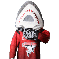 Hockey Nhl Sticker by Koelner Haie