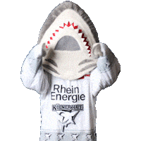 Hockey Nhl Sticker by Koelner Haie