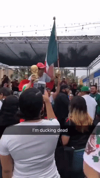 Korean Man Carried Aloft by Mexico Soccer Fans in LA After World Cup Win