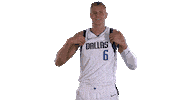 Kristaps Porzingis Nba Sticker by Dallas Mavericks