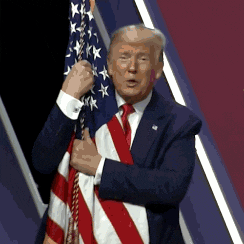 Usa Flag GIF by Deep Trump