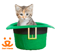 St Patricks Day Dog Sticker by Best Friends Animal Society
