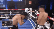 toprank fight boxing fighting espn GIF