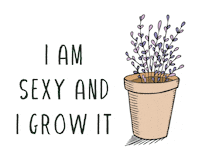 plantum sexy plant plants insect Sticker