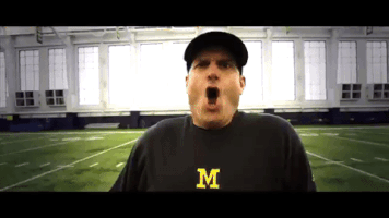 GIF by Michigan Athletics