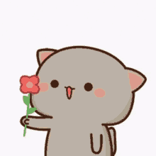 New GIF